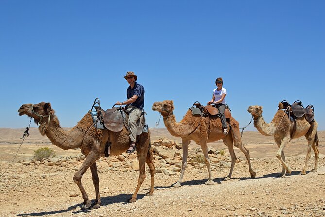 Desert Sunset Camel Ride With Free Tea in The Desert Camp - Directions and Booking Details