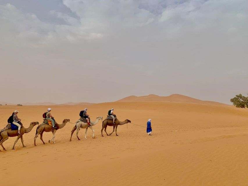 Desert Tour From Marrakech - Booking and Logistics