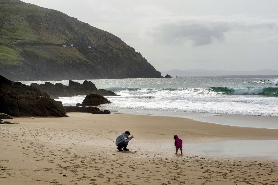 Dingle Day Tour From Limerick - Itinerary Details