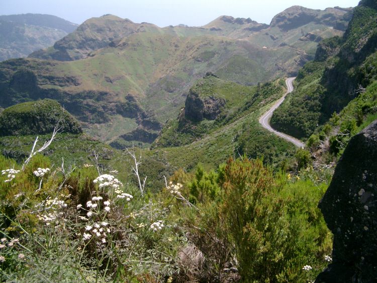 Discover Madeira: Full-Day Tour to Porto Moniz - Last Words