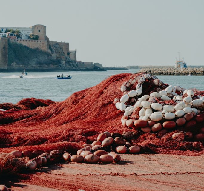 Discover the Enchanting Journey From Fes to Tangier - Travel Tips