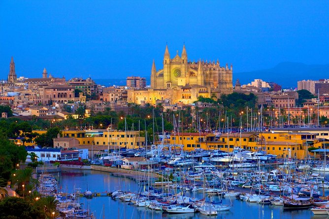 Discover the Major Cultural Attractions of Palma De Mallorca on a Private Tour - Shopping and Souvenirs