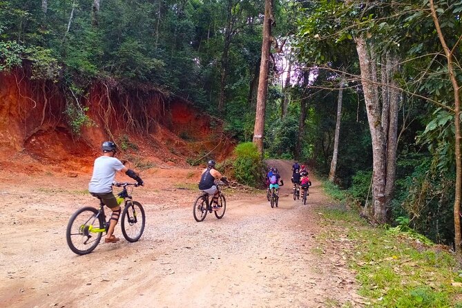 Doi Suthep National Park Beginner Downhill Bike Ride From Chiang Mai - Overall Experience Feedback