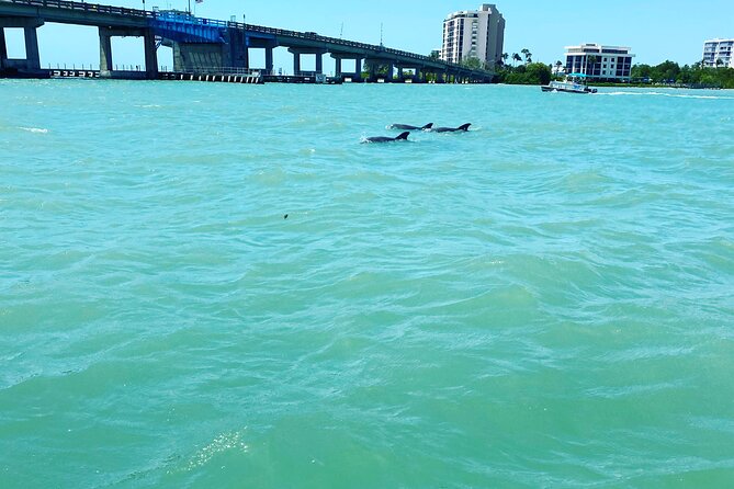 Dolphin Tiki Cruise Around Fort Myers Beach - Booking and Pricing Information