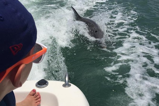 Dolphin Tours - Fort Myers Beach / Naples - Common questions