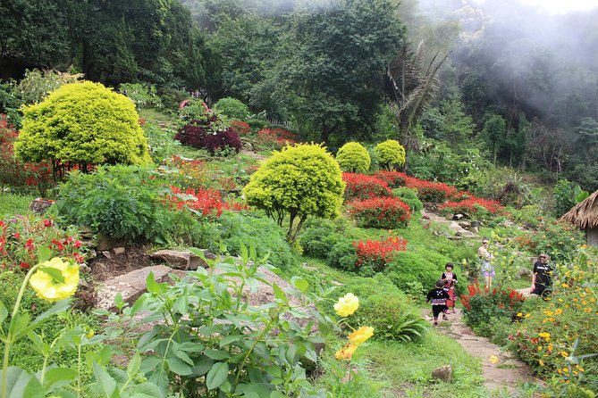 DONT Miss It ! Doi Suthep Temple Hmong Village (Or Bhubing Palace) - Common questions