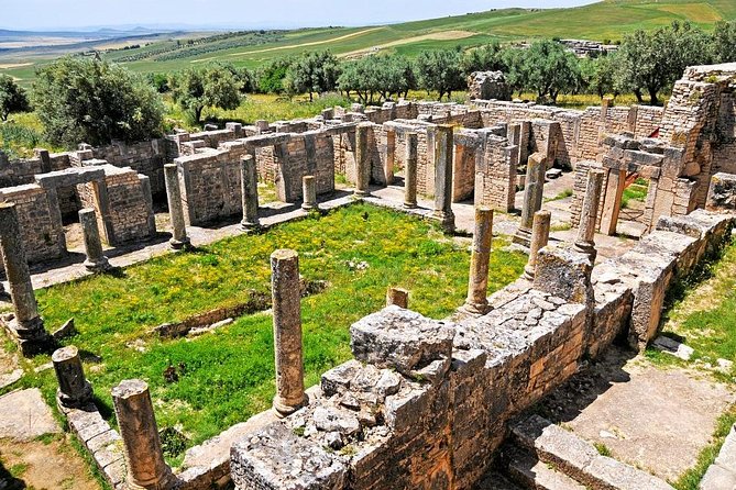 Dougga and Bulla Regia W/ Lunch Small-Group Tour From Tunis or Hammamet - Common questions