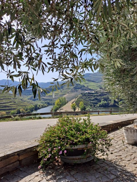 Douro Valley: 8-9h FD Tour at the Magic Valley! - Immersive Douro Wine Experience