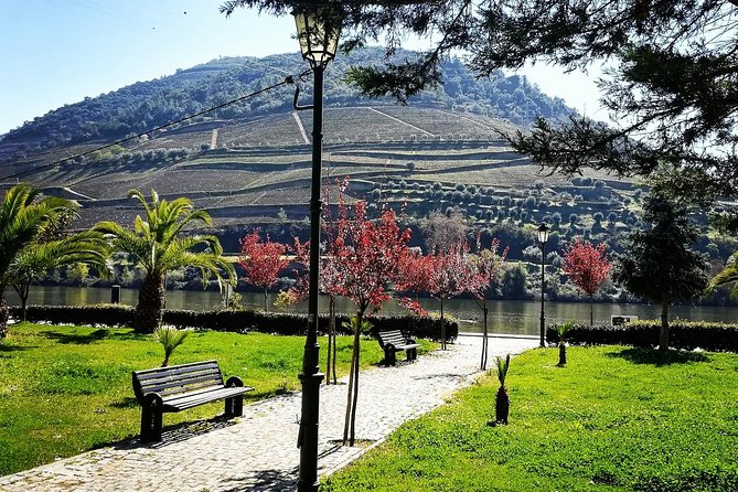 Douro Valley: Food and Wine Small Group Tour From Porto - Common questions
