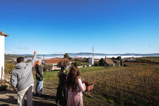 DOURO VALLEY in 8 Pax Groups W/ 2 Wineries, Lunch and 1h Cruise - Additional Considerations
