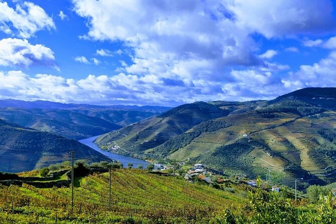 Douro Valley Small-Group Tour: 2 Wineries, Lunch, Optional Cruise - Last Words