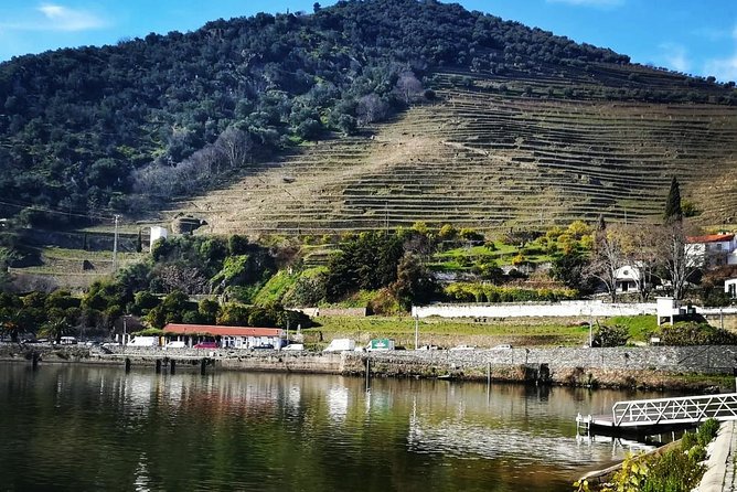 Douro Valley Small Group Tour From Porto - Last Words