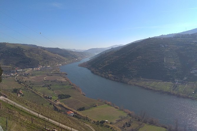 Douro Valley Tour: Wine Tasting River Cruise and Lunch From Porto - Common questions