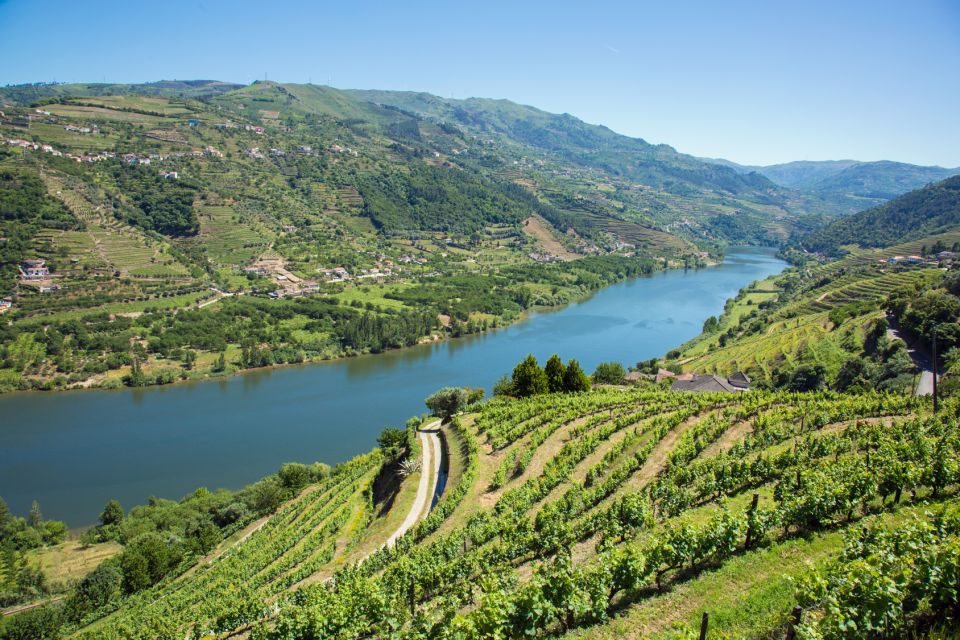 Douro Valley Wine Tasting From Porto - Booking Information