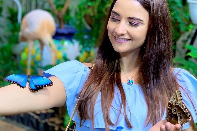 Dubai Butterfly Garden : Skip The Line / Mobile Voucher Accepted - Common questions