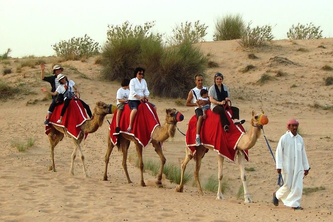 Dubai Desert Safari With BBQ Dinner, Camel Ride, Sandboarding Etc - Last Words