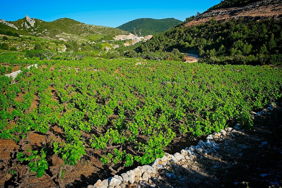 Dubrovnik: Deep Red Wine Tour of Pelješac - Last Words