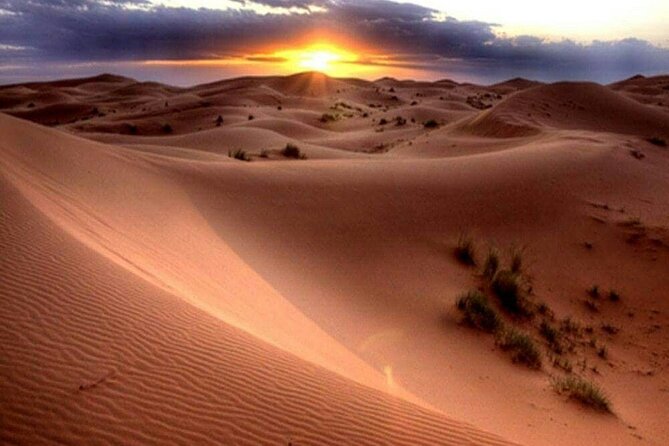 DXB Morning Desert Safari With Camel Ride & Sand Boarding - Customer Support