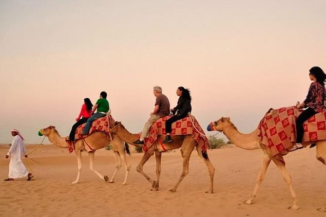 DXB Red Dune Desert Safari, Sand Boarding, Camel Ride, Live Shows, BBQ Dinner - Last Words