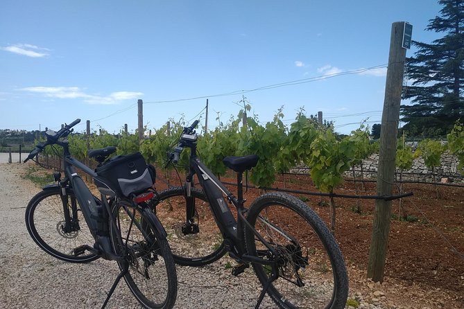 Ebike Tours: Alberobello and the Wines of Valle Ditria - Last Words