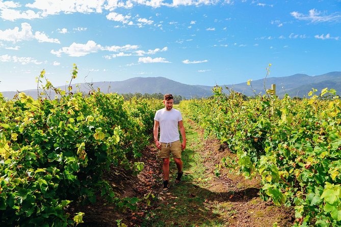 El Penedès Hike & Wine. Premium Small Group Tour From Barcelona - Common questions
