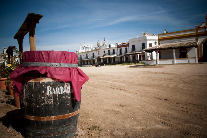 El Rocio, Donana Natural Park and Matalascanas Beach Day Trip From Seville - Common questions