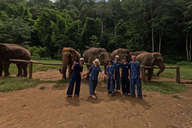 Elephant Care Program at Chiangmai Elephant Care - Last Words