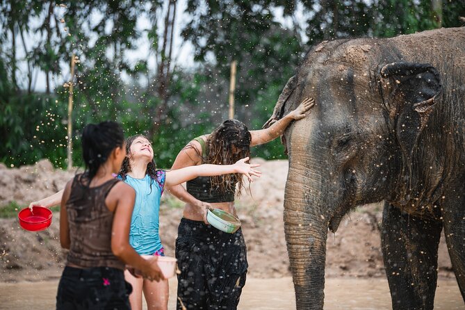 Elephant Jungle Sanctuary: Half Day Morning Program - Last Words