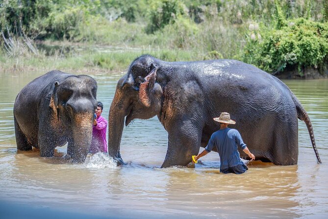 Elephant Sanctuary Small Group Tour in Phuket - Common questions