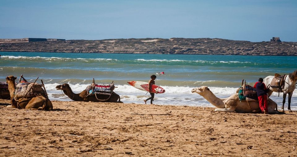 Essaouira: 2-Hour Camel Ride - Insider Tips