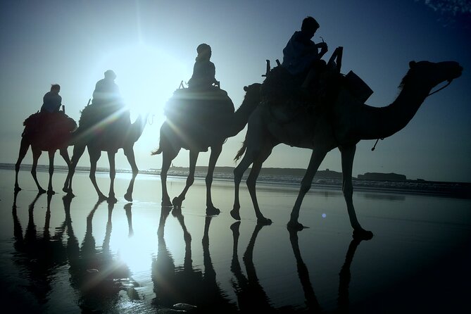 Essaouira: 2h/Quad1h/Camel Ride Minimum 2 People - Common questions