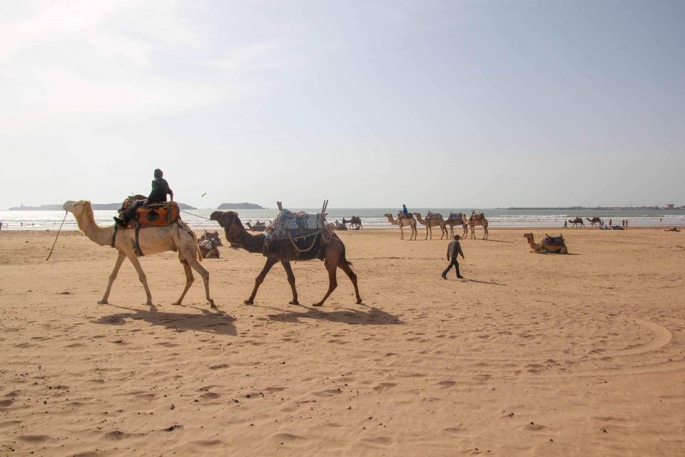 Essaouira Day Trip From Marrakech With Transfers - Last Words