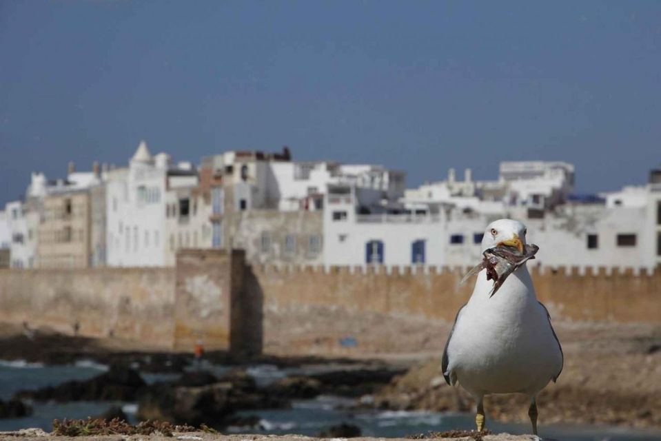 Essaouira Full Day Trip From Marrakech &Lunch & Moroccan Tea - Common questions