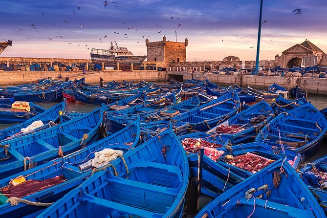 Essaouira Private Day Trip From Marrakech - Value for Money Assessment