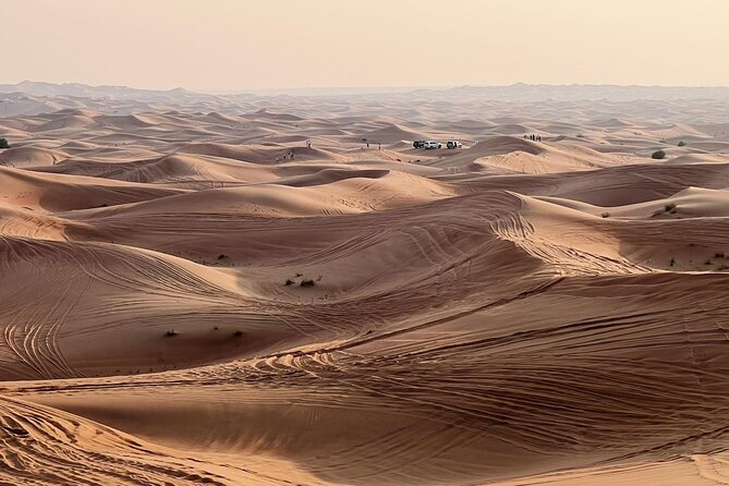 Evening Desert Safari Abu Dhabi With Dinner - Return Transportation