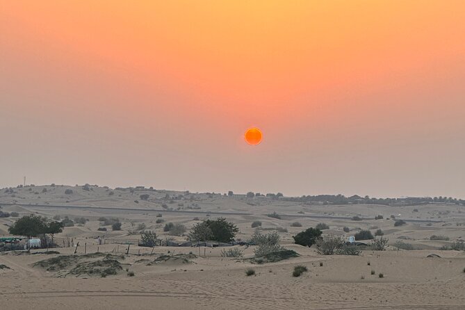 Evening Desert Safari - Last Words