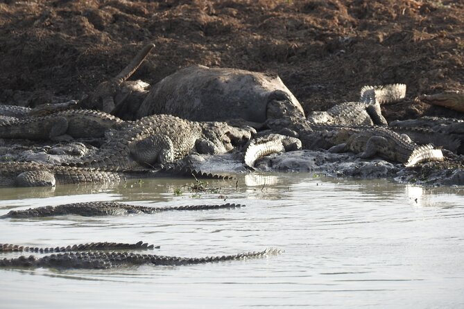 Evening Safari - Yala National Park With Janaka Safari - 02.00 Pm to 06.30 Pm - Traveler Photos Access