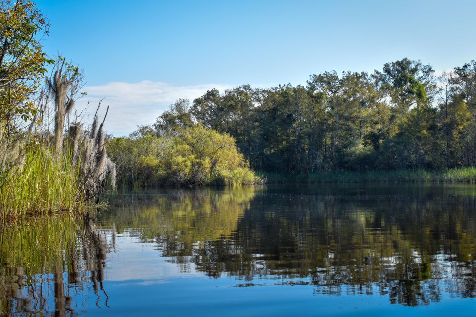 Everglades City: Guided Kayaking Tour of the Wetlands - Last Words