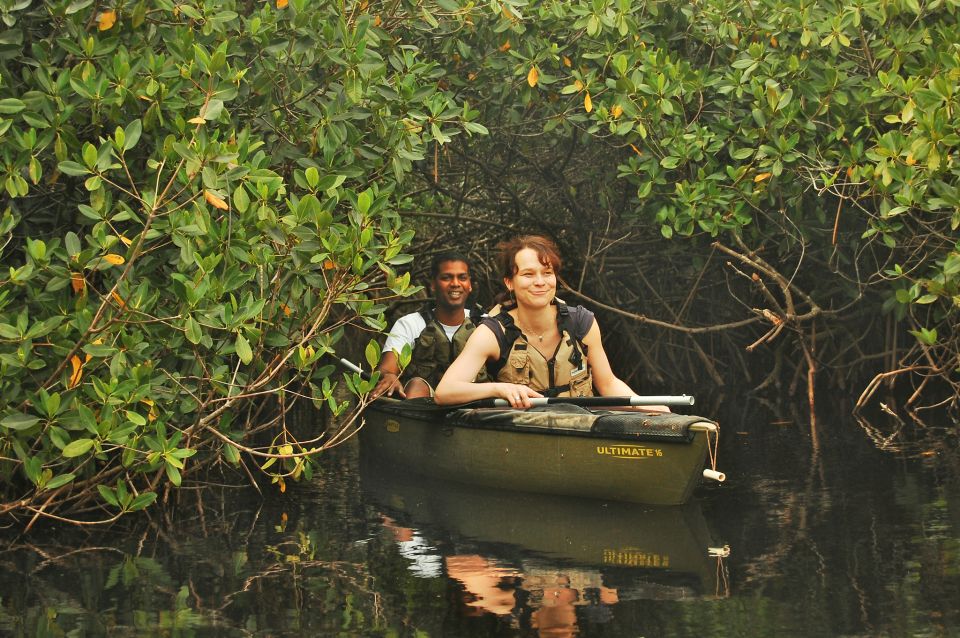 Everglades National Park: Mangrove Tunnel Kayak Eco-Tour - FAQ Information