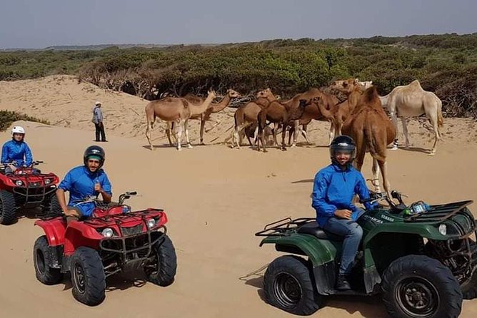 Excursion: 1h/Quad1h/Dromedaries (Minimum 2 People) - Common questions