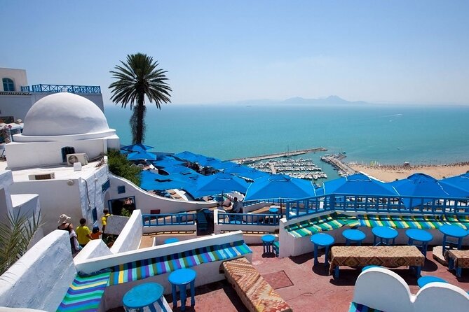 Explore the Essentials of Tunis in a Private Half Day - Flexible Booking Options