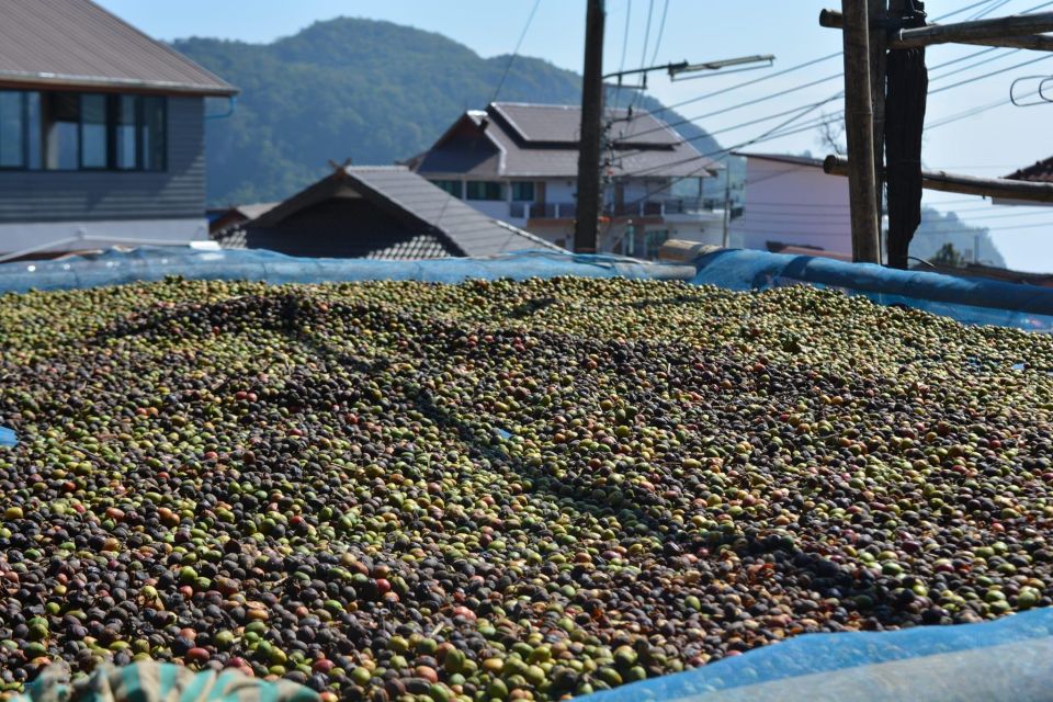 Explorer Border Road and Nature (Tea and Coffee) - Mae Sai Border Town Exploration