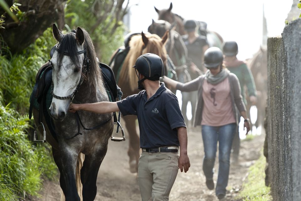 Faial Island: Horseback Riding on Lusitano Trail (1,5 Hr) - Common questions