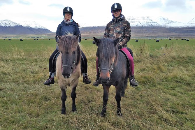 Family Friendly Horse Riding Tour in Skagafjörður - Common questions