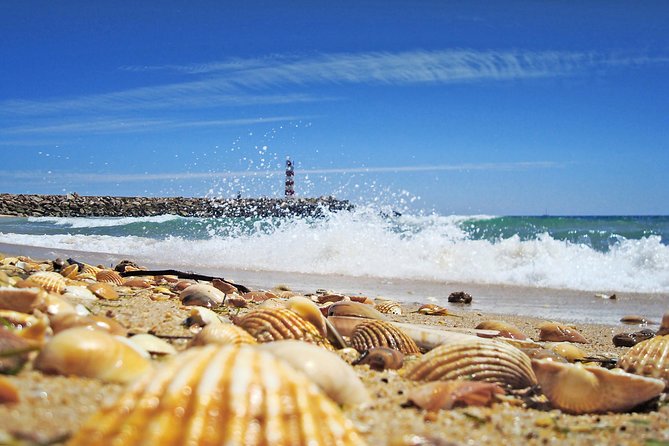 Faro to Ilha Deserta, Rio Formosa Natural Park Eco-Tour