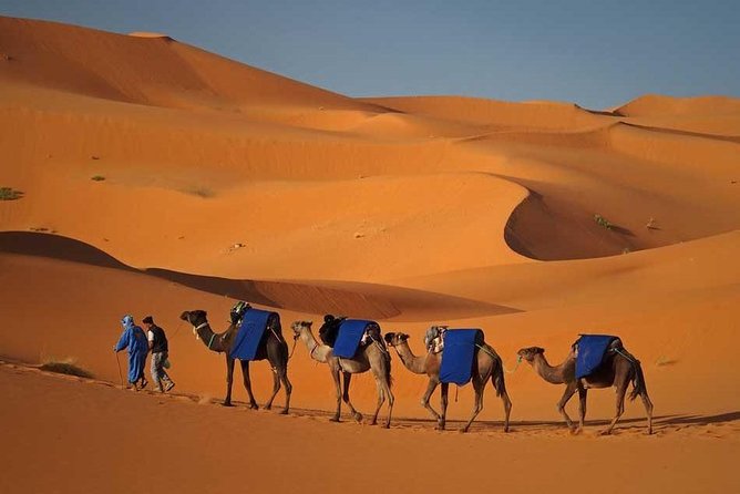 Fes to Marrakech via Desert Tour 2 Days 1 Night - Common questions