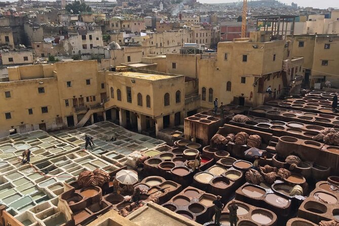 Fez Half Day Tour - Last Words