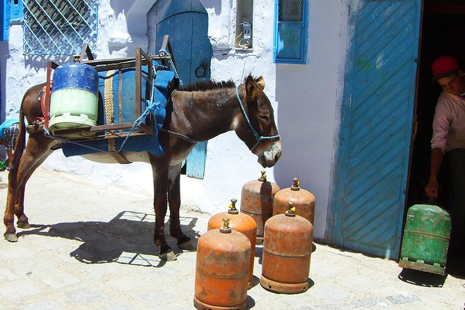 Fez to Chefchaouen Day Trip - Last Words