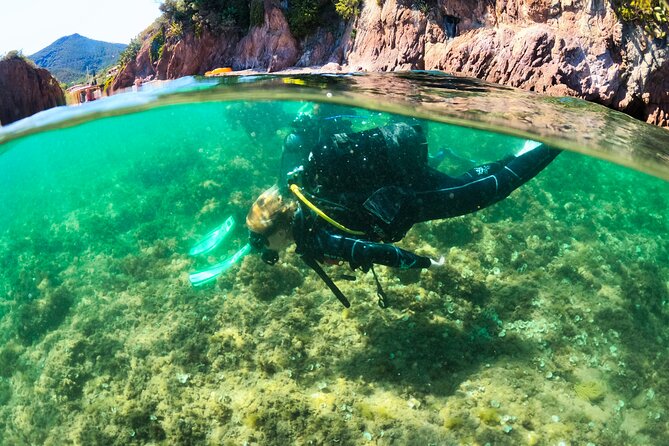 First Dive 60 Minutes in Théoule-Sur-Mer - Key Points