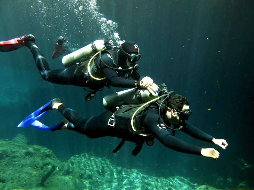 First Scuba Diving Experience in a Cenote - Dive Experience